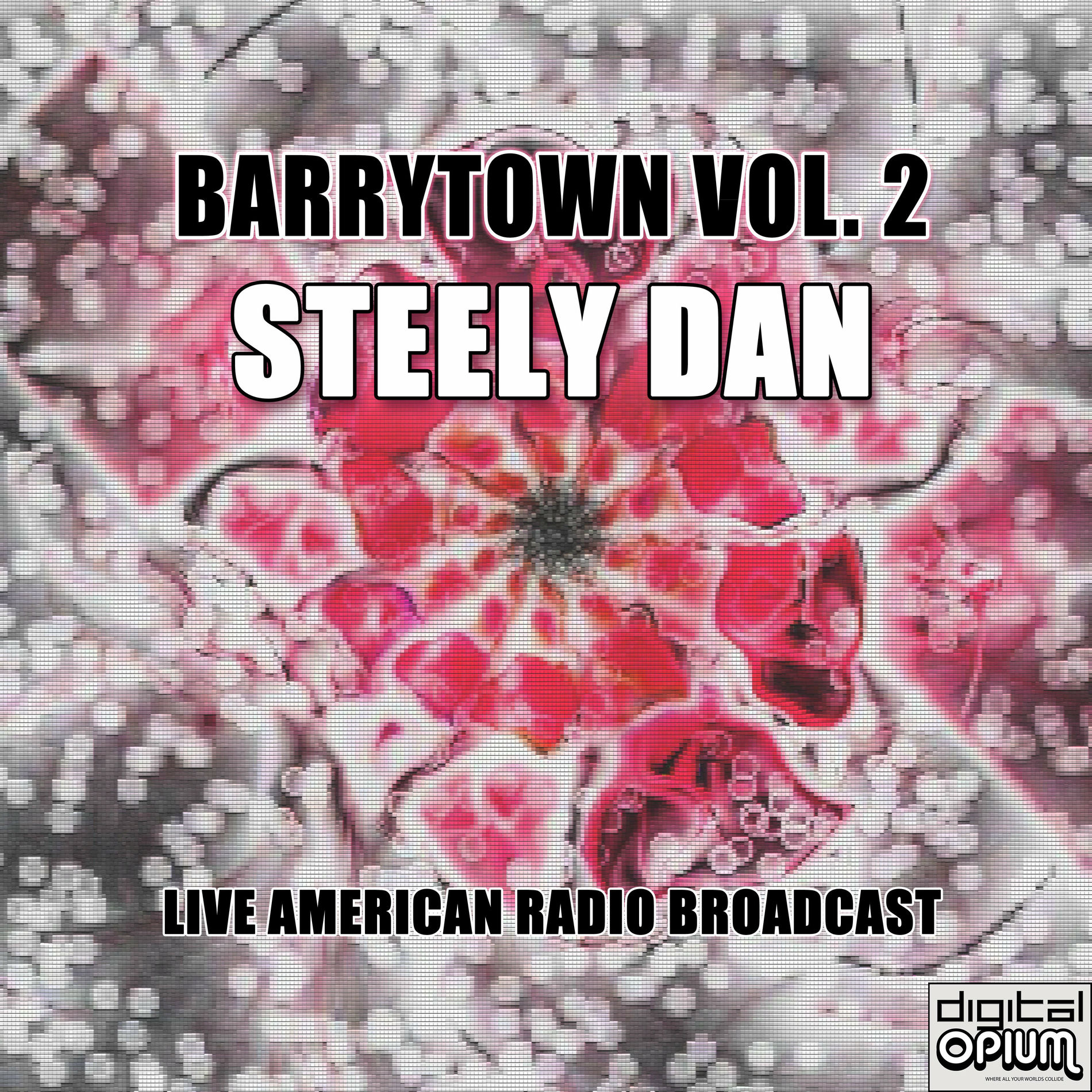 Album cover of Barrytown Vol. 2 (Live)