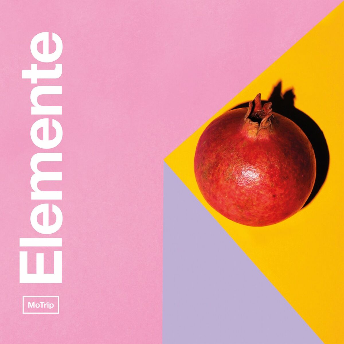 Album cover of Zuhause ist wir