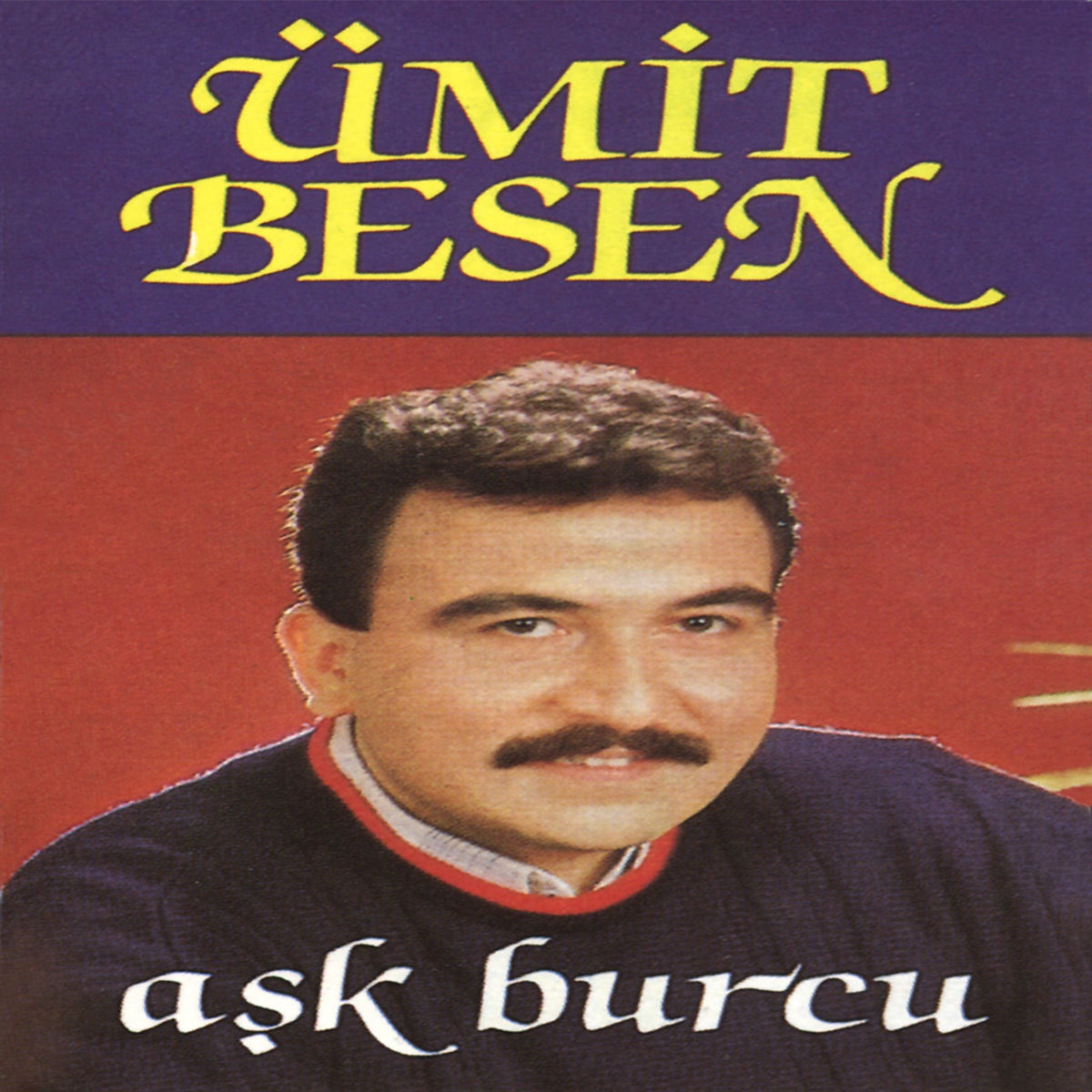 Album cover of Seviyorum Deli Gibi