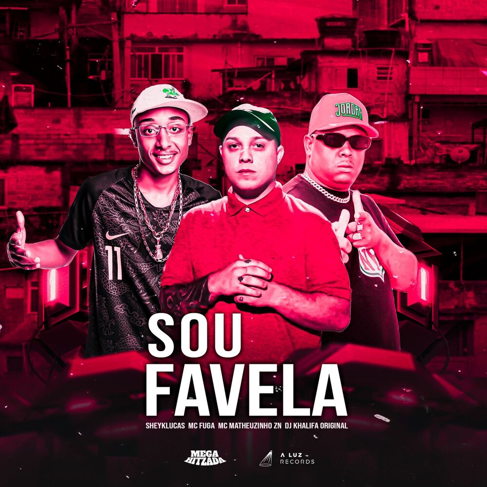 Picture of Sou Favela