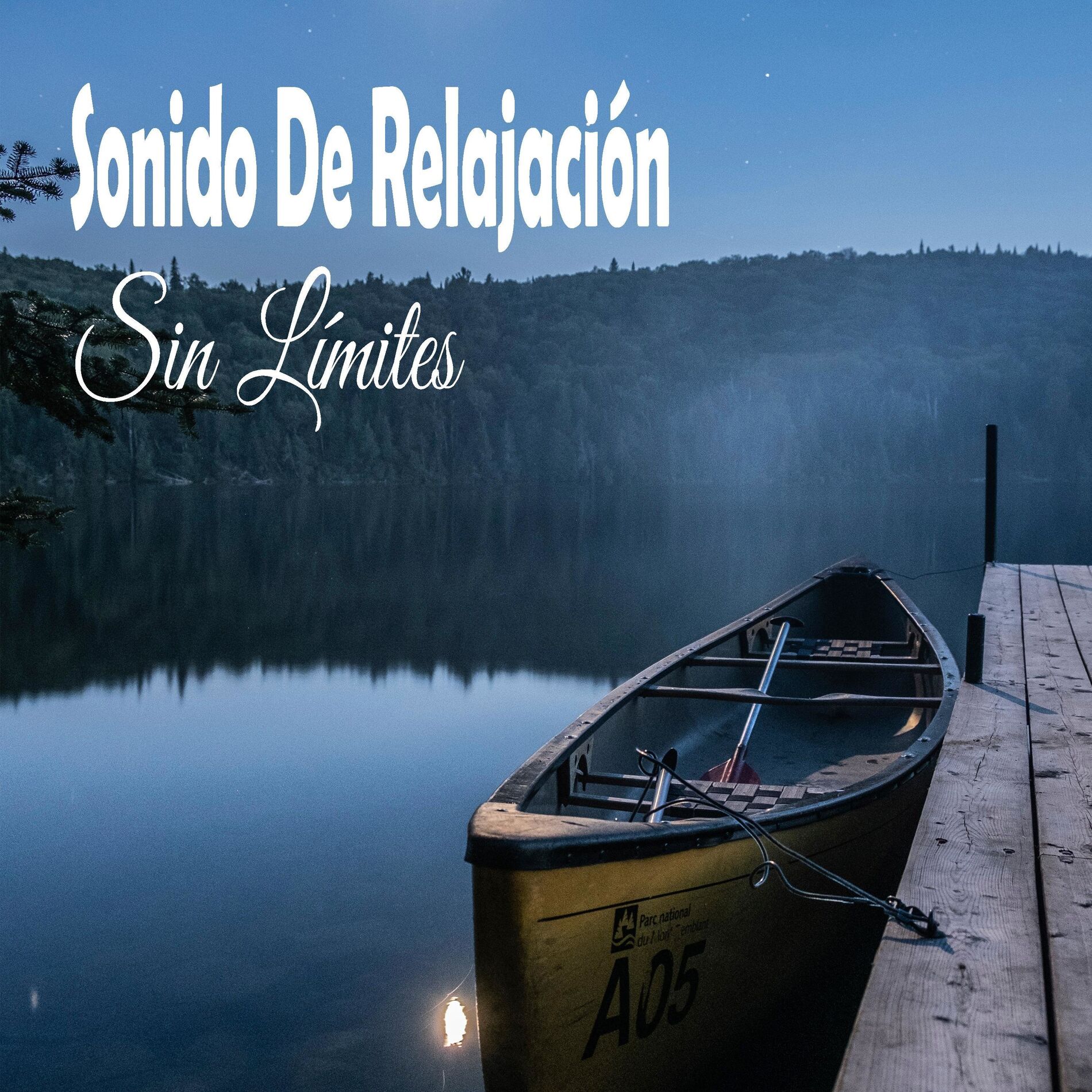 Album cover of Vibraciones Curativas De Reiki