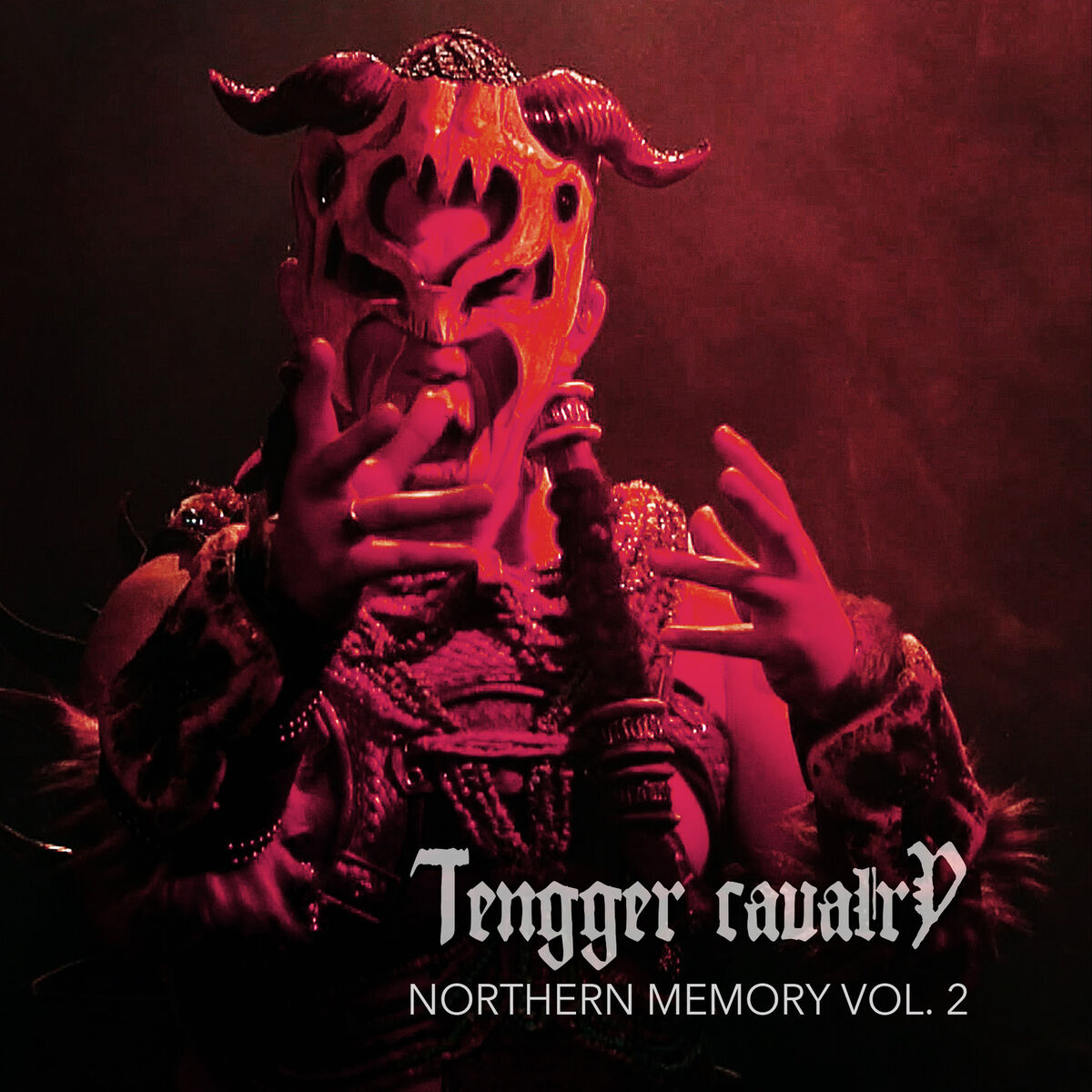Album cover of Northern Memory, Vol. 2
