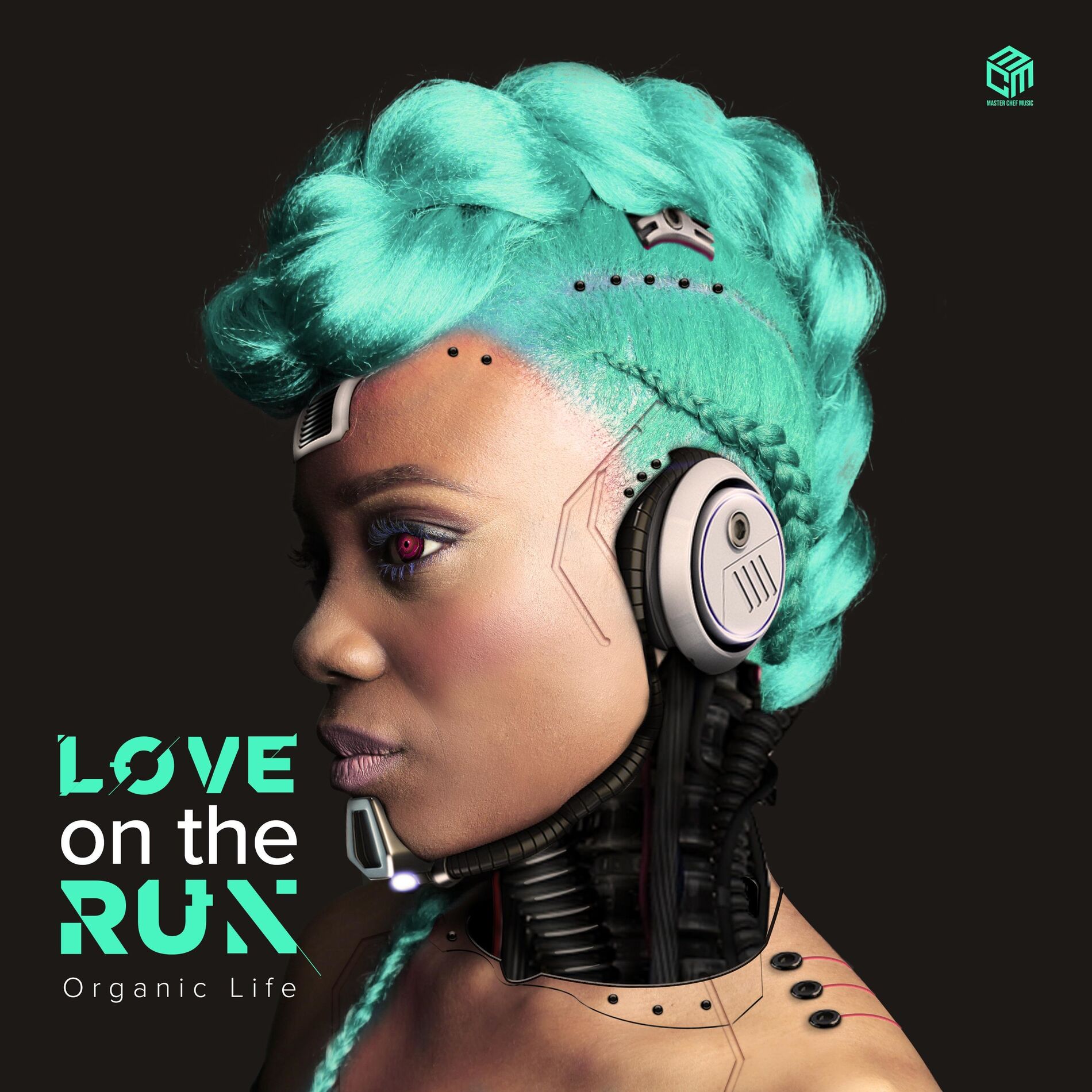 Album cover of Love On the Run