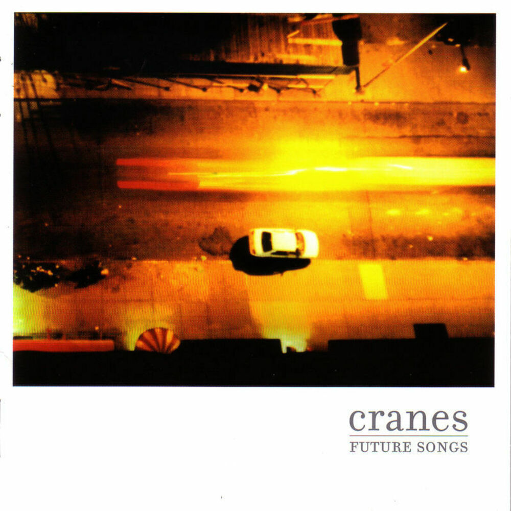 Picture of Future Songs