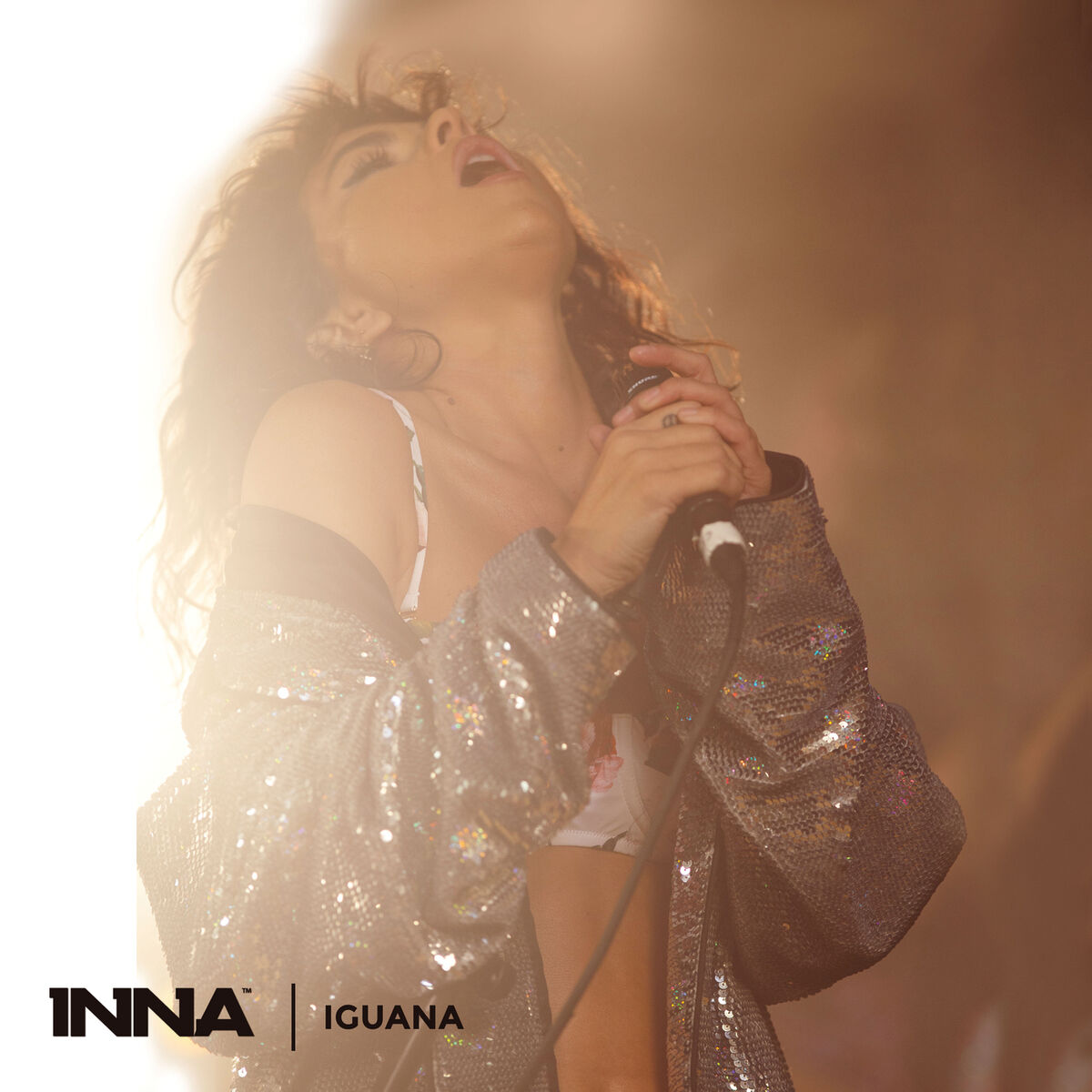 Album cover of Iguana