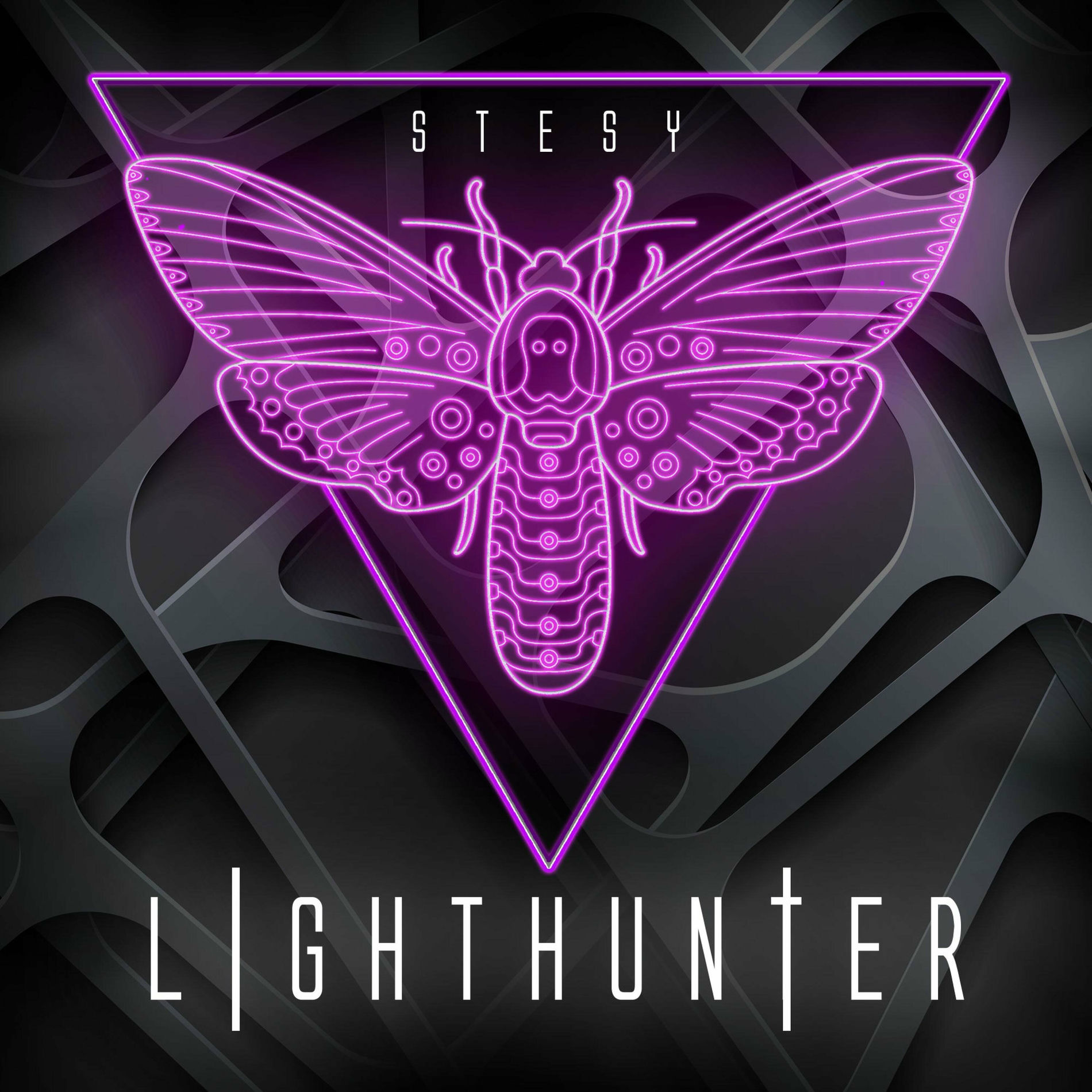 Album cover of Lighthunter