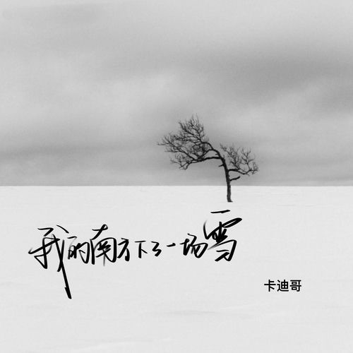 我的南方下了一场雪