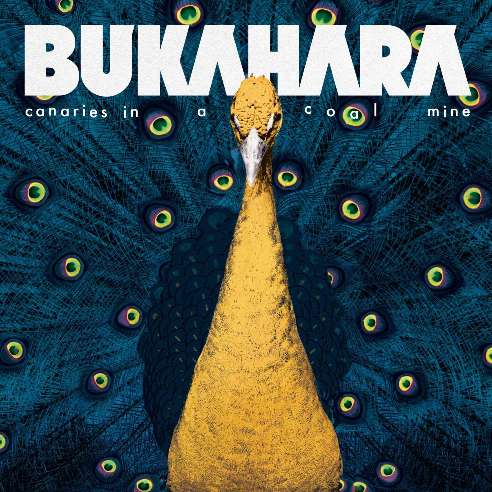 Album cover of Canaries in a Coal Mine