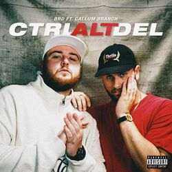 Cover of CTRL + ALT + DEL