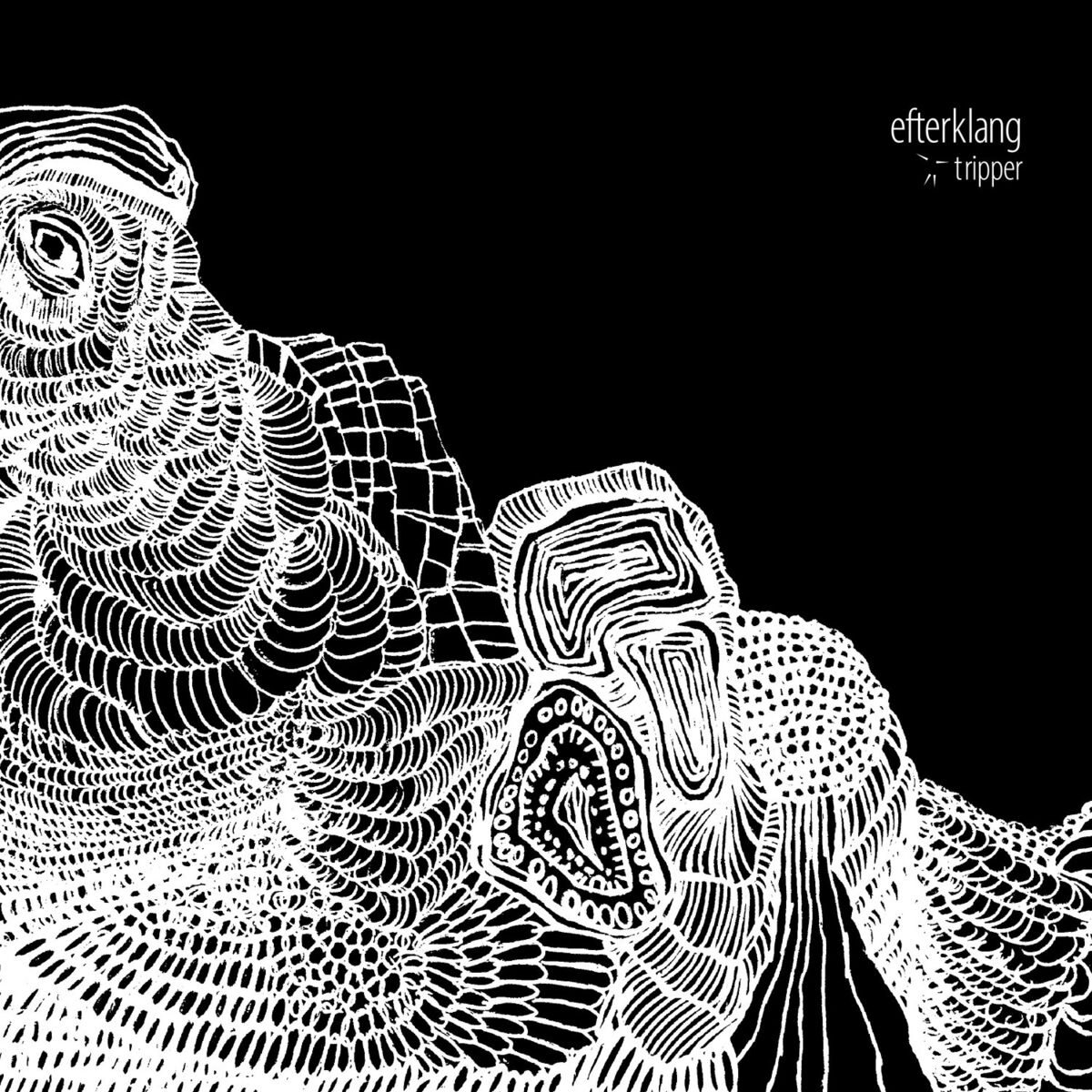 Album cover of Tripper