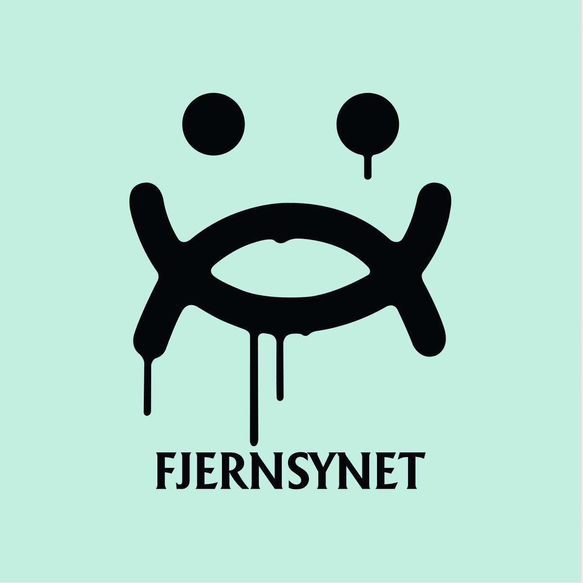 Album cover of Fjernsynet