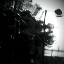 Cover of Nocturnal Awakening