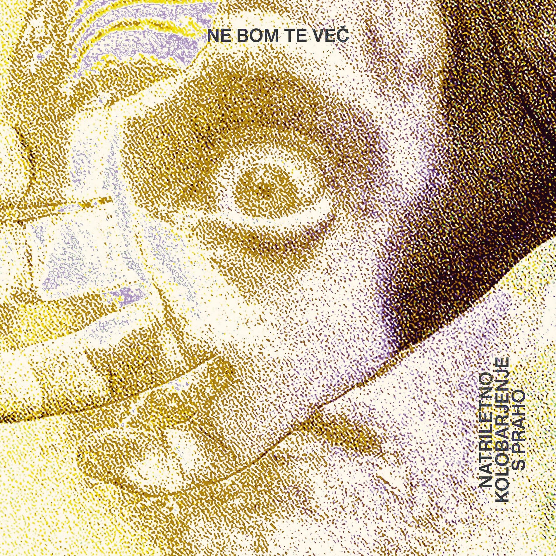 Album cover of Ne bom te več