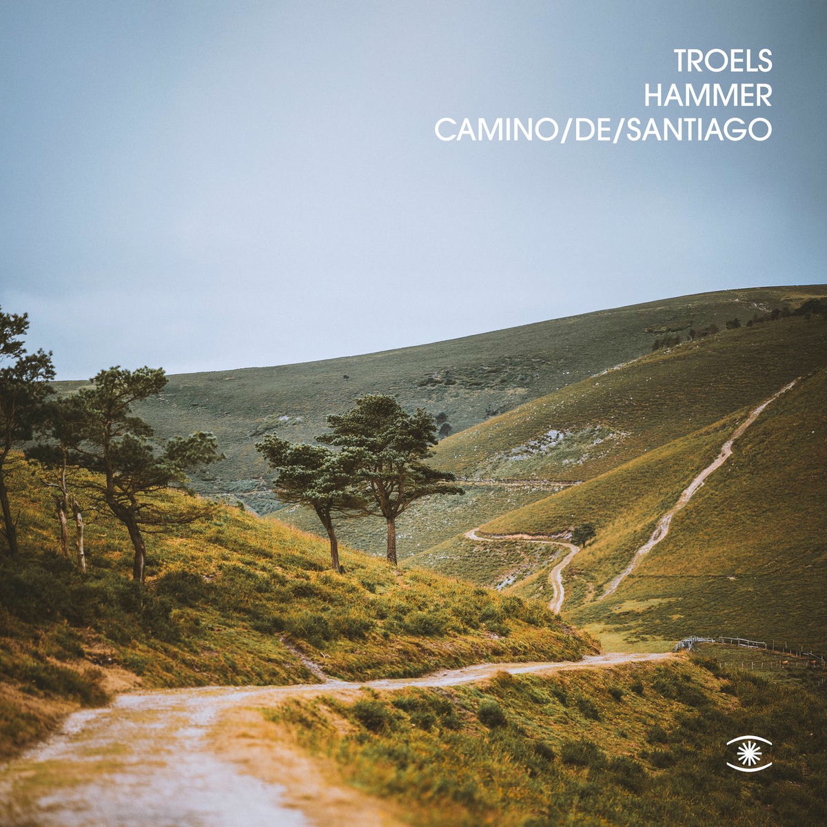 Album cover of Camino De Santiago