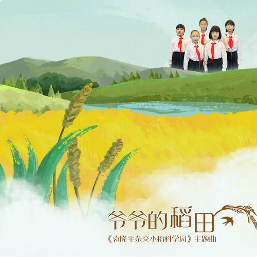 爷爷的稻田