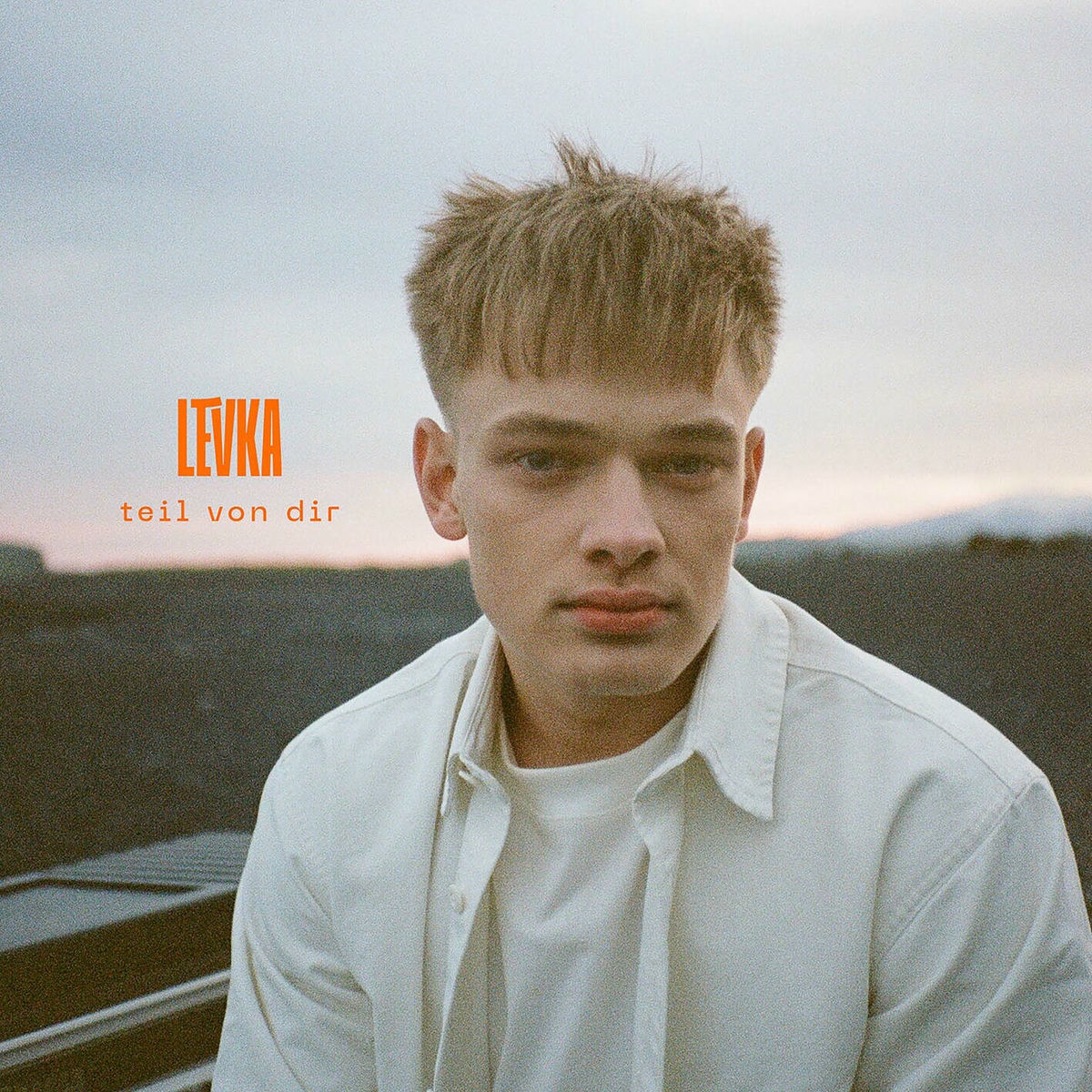 Album cover of teil von dir