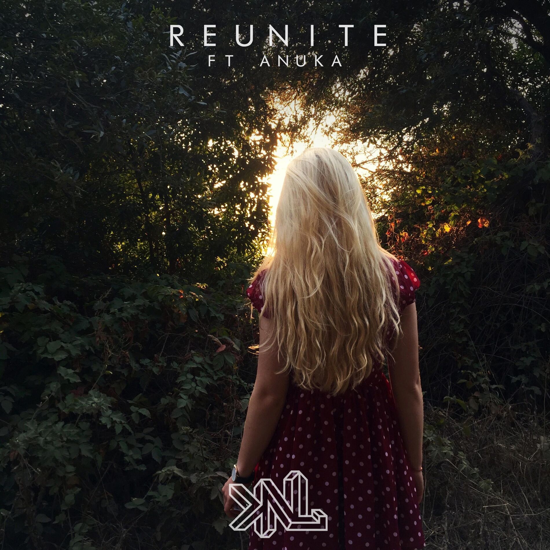 Album cover of Reunite (feat. Anuka)