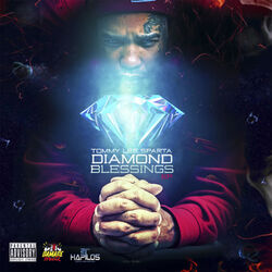 Cover of Diamond Blessings