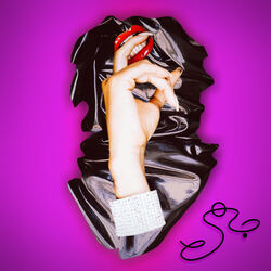 Cover of SIR Rebekkah Holylove