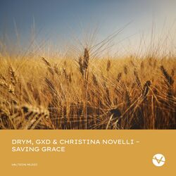 Cover of Saving Grace