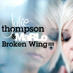 Cover of Broken Wing