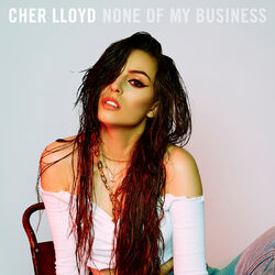 Cover of None Of My Business