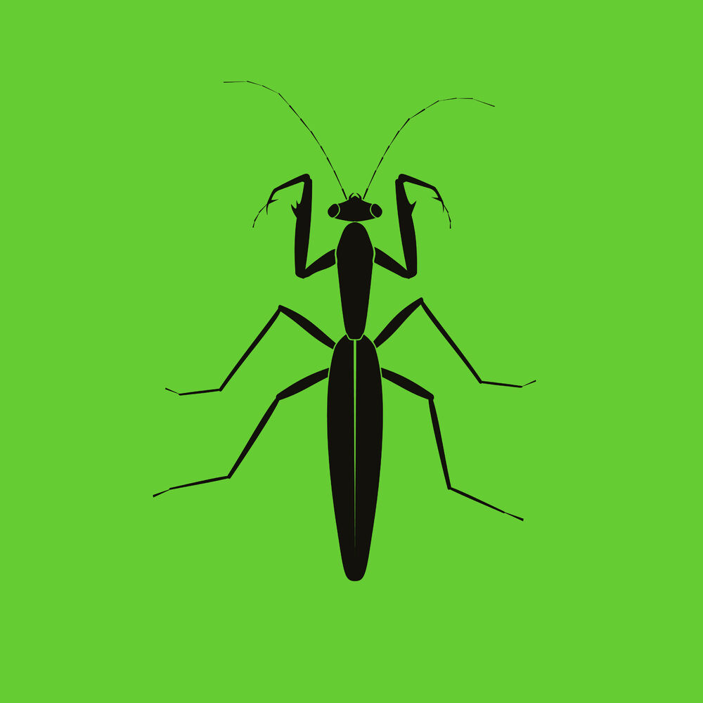 Picture of Praying Mantis EP
