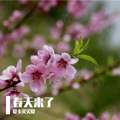 春天来了
