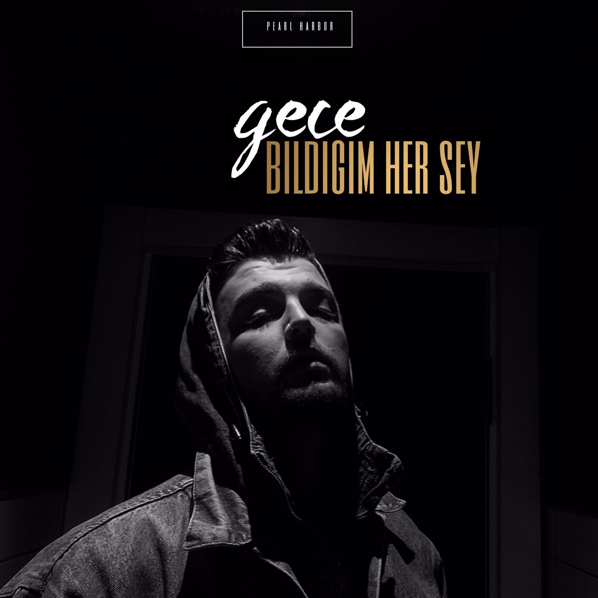 Album cover of Bildigim her sey