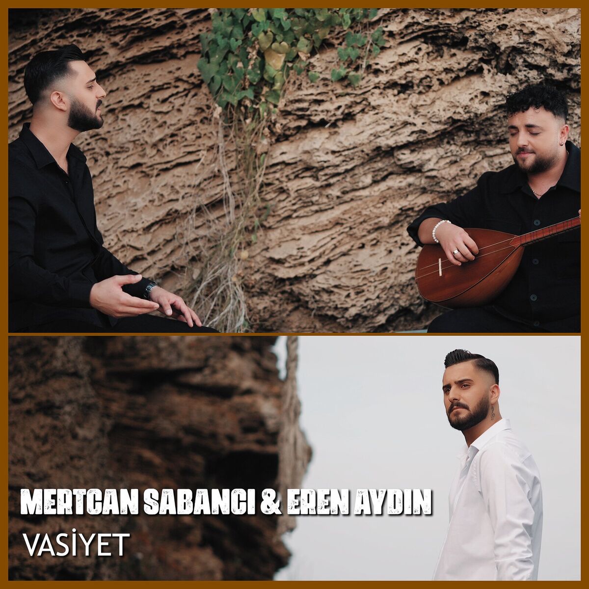 Album cover of Vasiyet