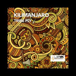 Cover of Tribe Fly