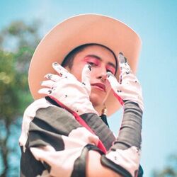 Cover of Cowboy Fora da Lei
