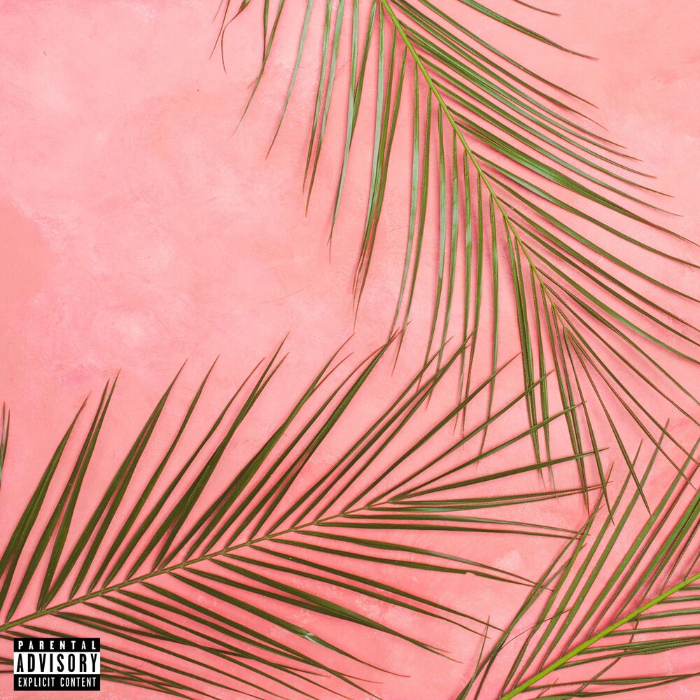 Picture of Stay Wavy, Vol. 5