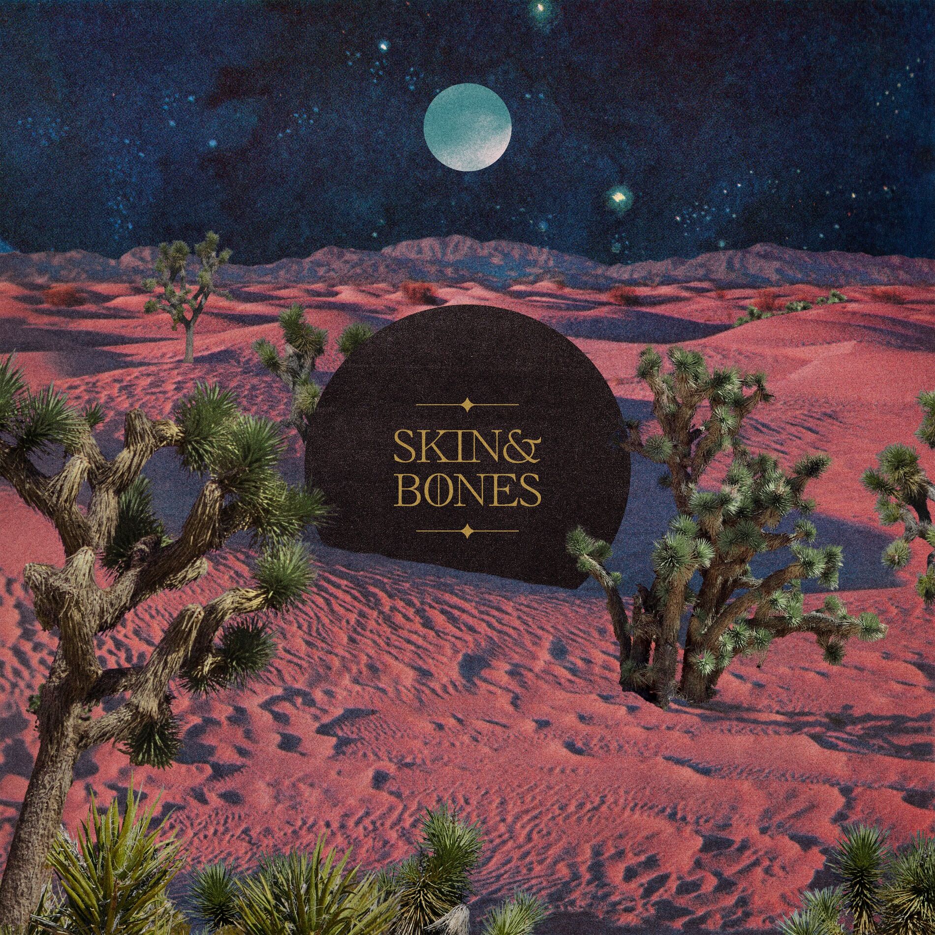 Album cover of Skin & Bones