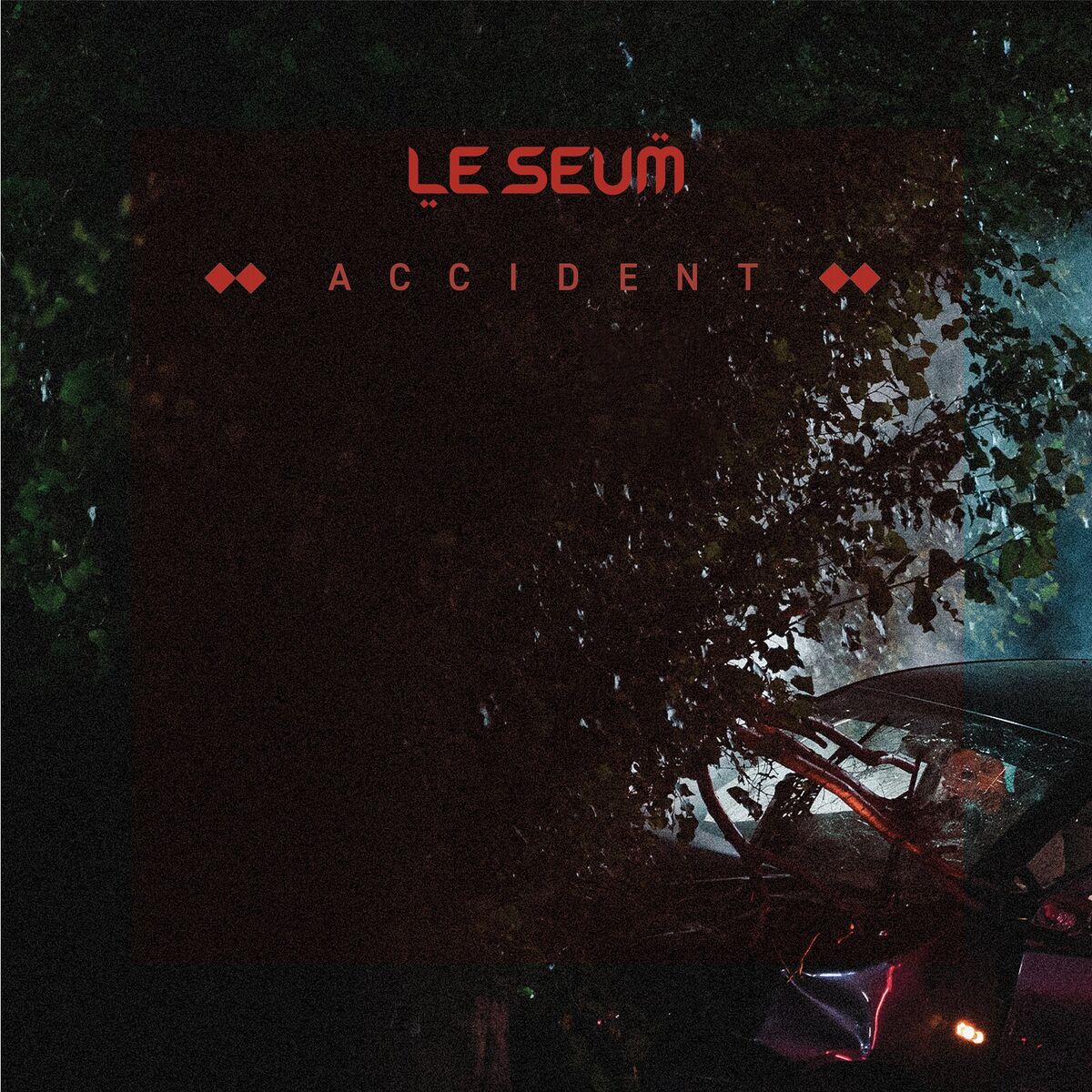 Album cover of Accident