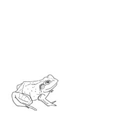 Cover of Bull Frogs Croon (Instrumental)