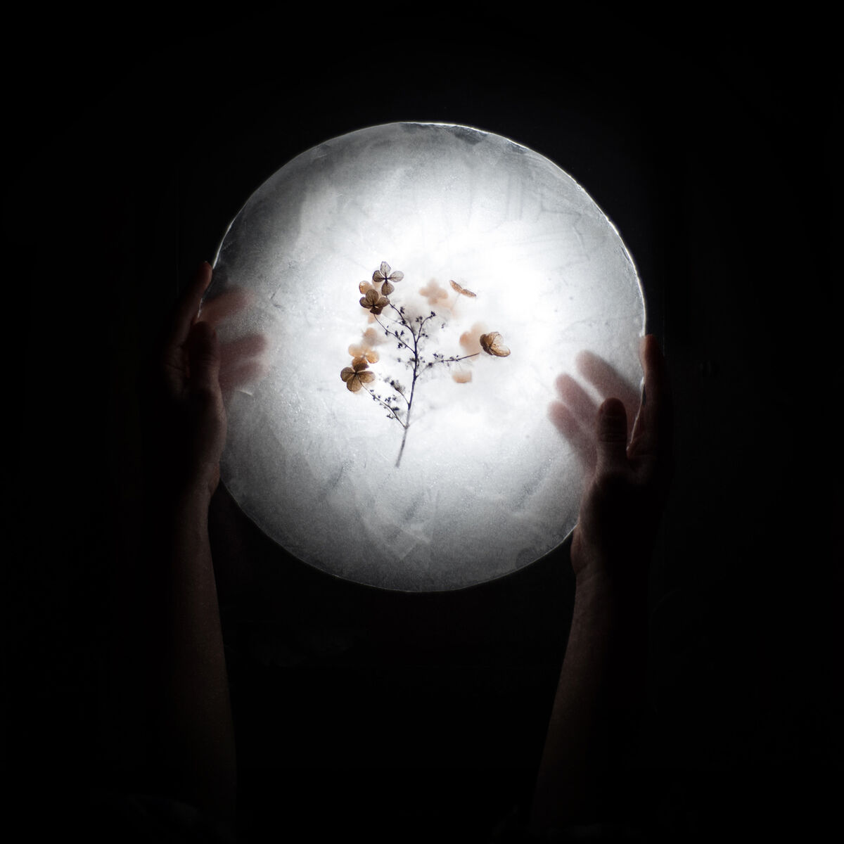 Album cover of winterglow