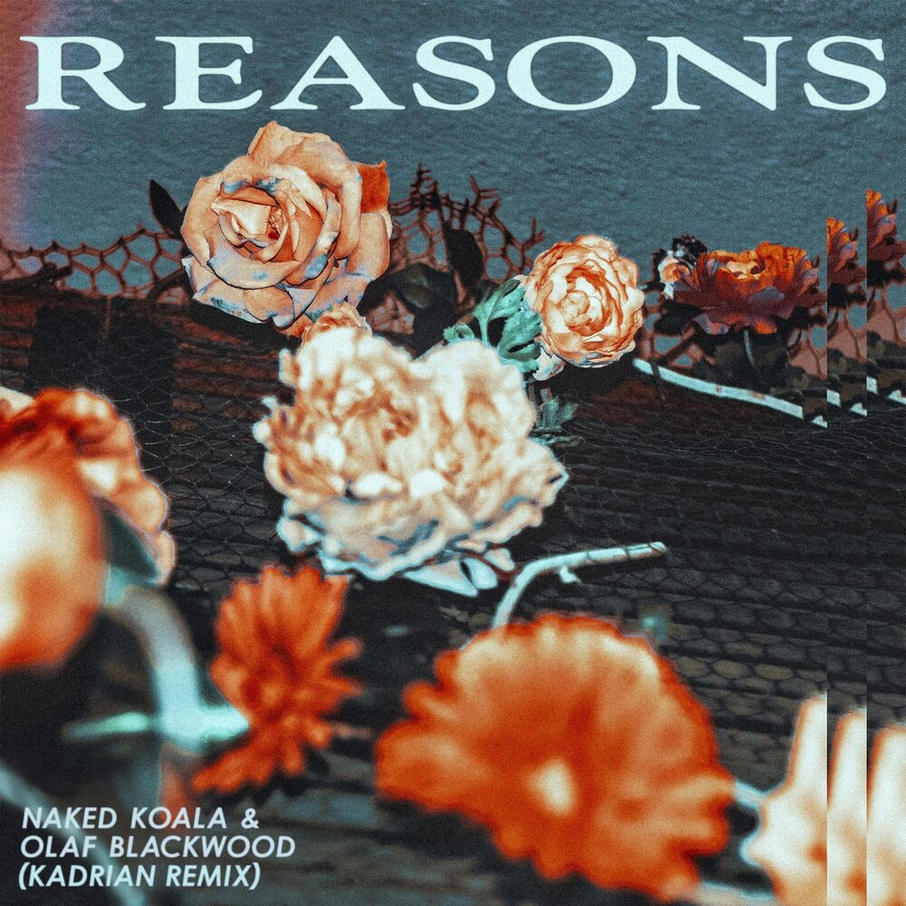 Picture of Reasons (Kadrian Remix)