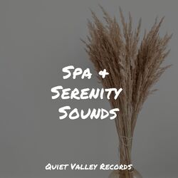 Cover of Spa & Serenity Sounds