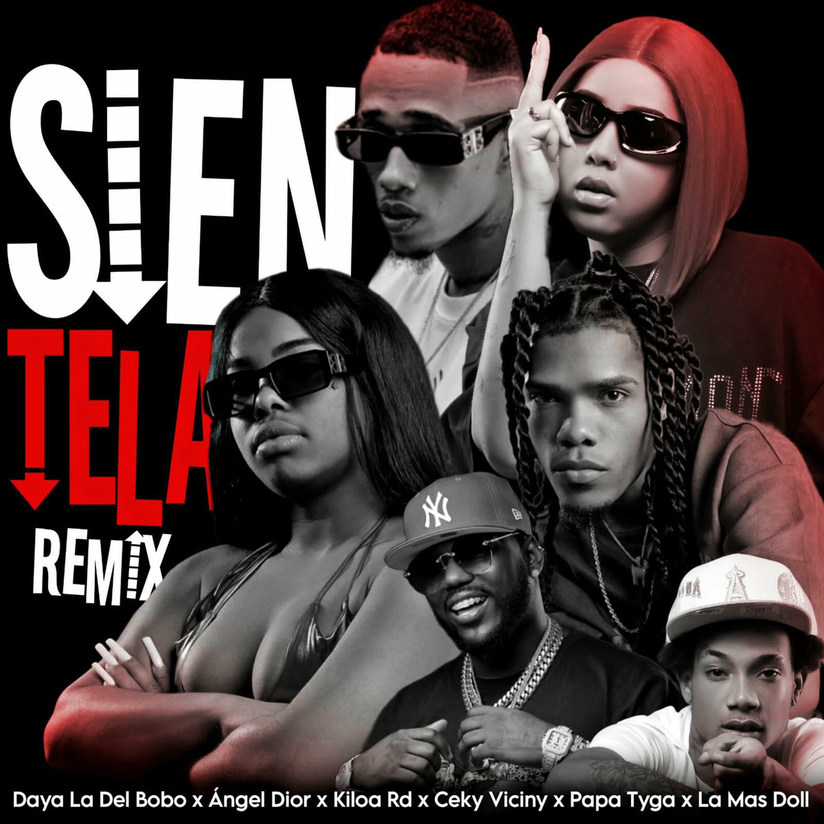 Album cover of Sientela (Remix)
