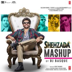 Cover of Shehzada Mashup