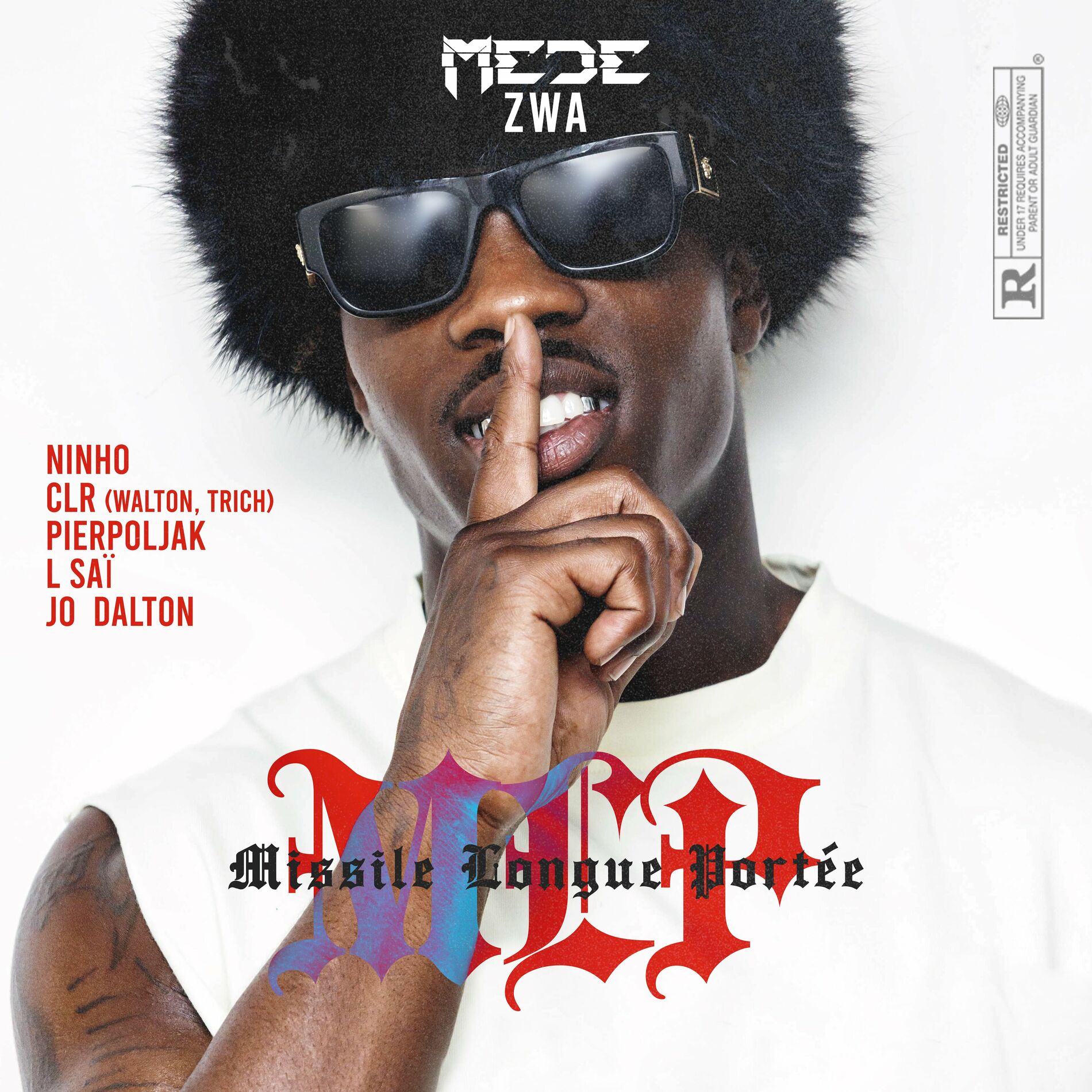 Album cover of Missile Longue Portée (MLP)