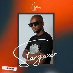Cover of Stargazer