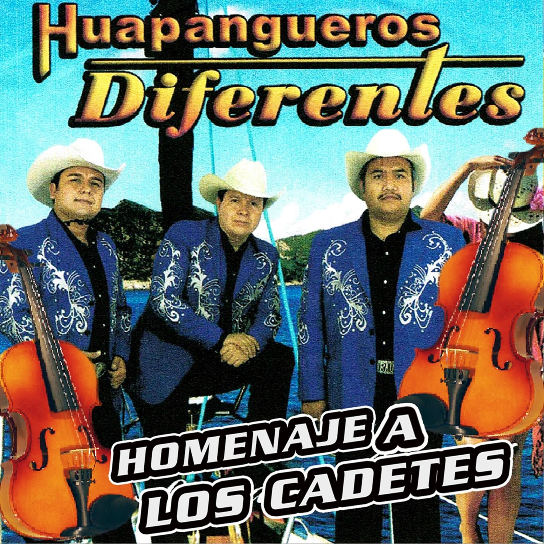 Album cover of Homenaje a los Cadetes