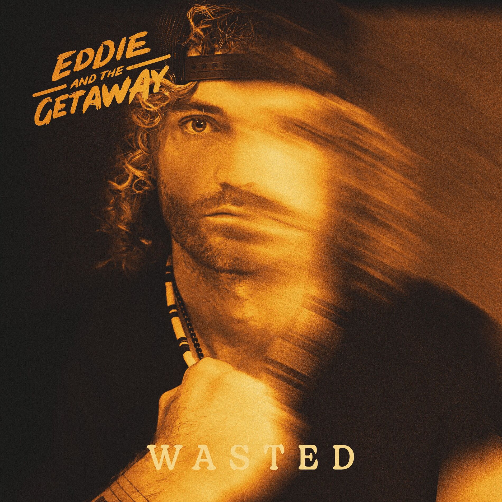 Album cover of WASTED