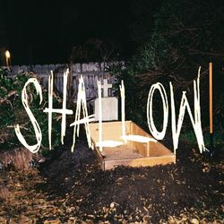 Cover of Shallow