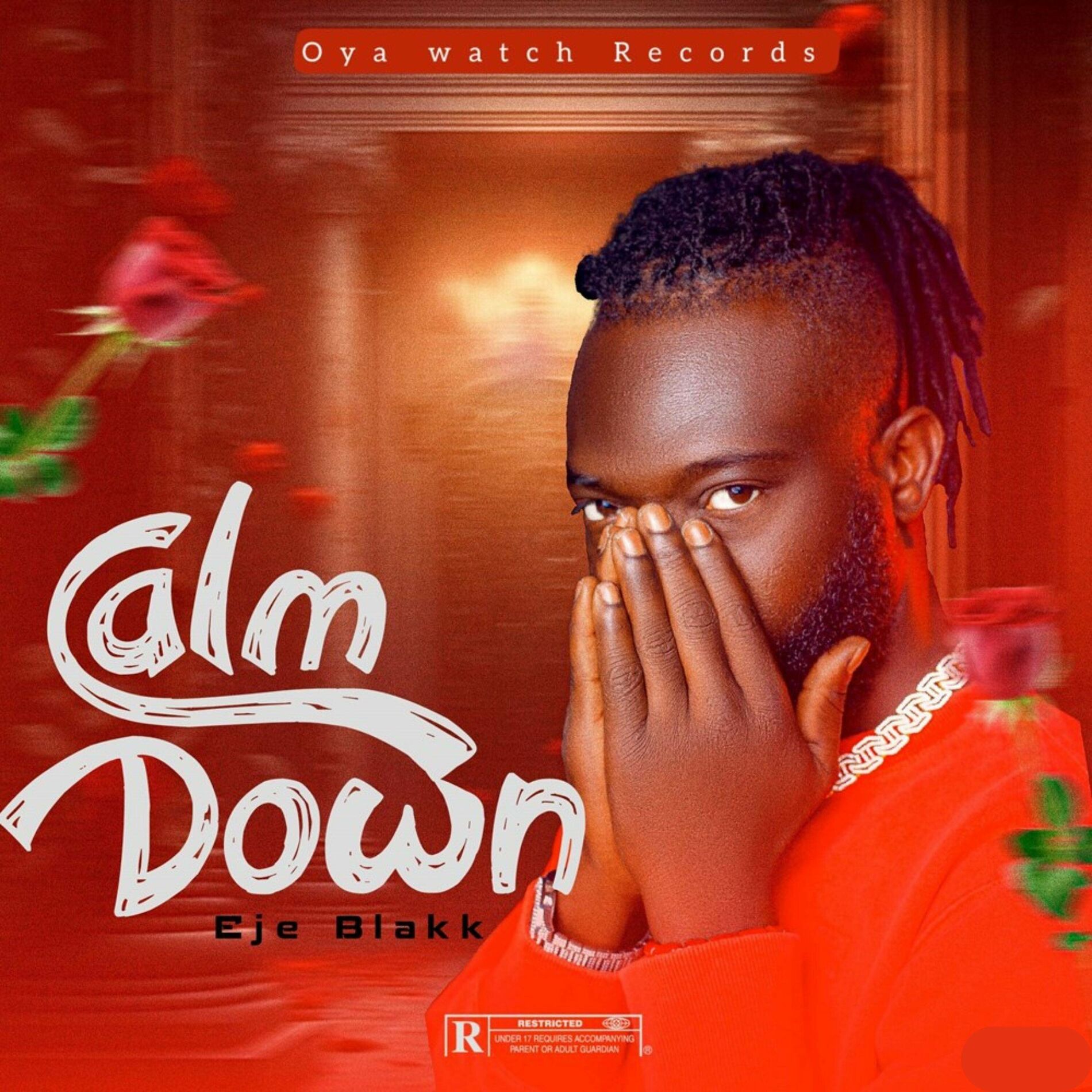 Album cover of Calm Down