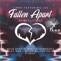 Cover of Fallen Apart Remixes 002
