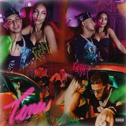 Cover of T3MU