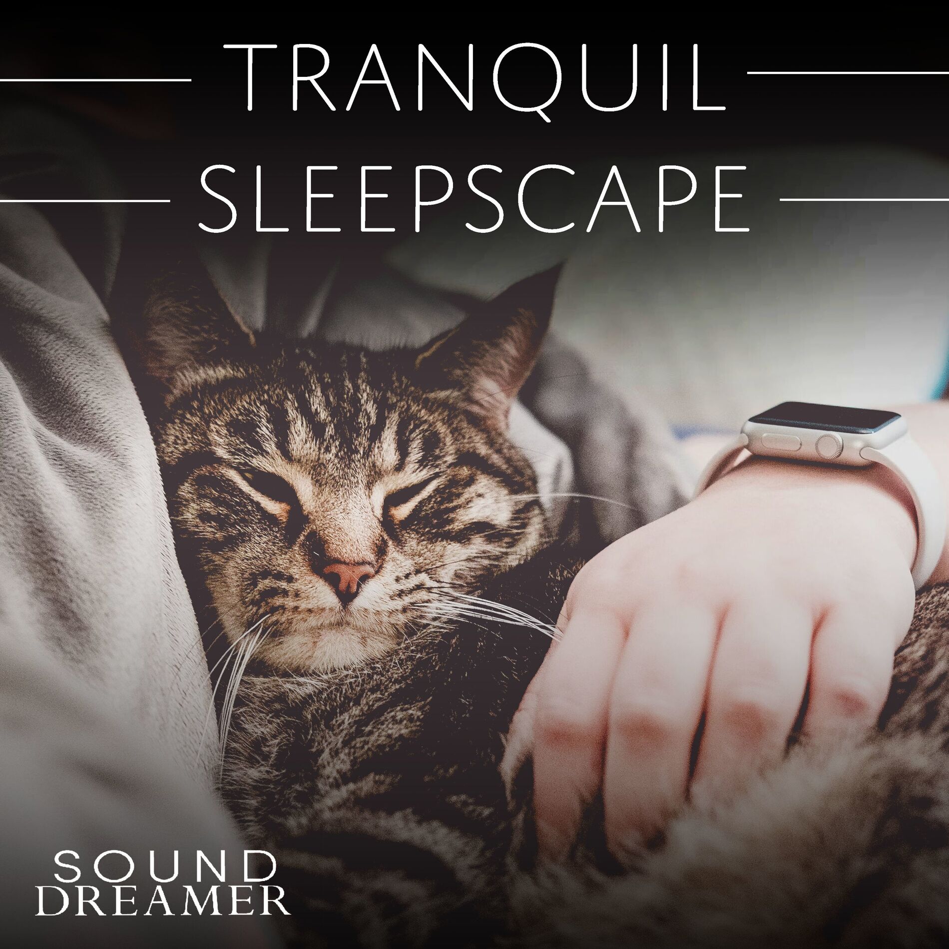 Album cover of Tranquil Sleepscape